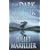 The Dark Mirror: Book One of the Bridei Chronicles (Bridei Chronicles 1)