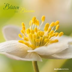 Bl�ten 2012. Brosch�renkalender 30 x 30 cm