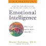 Emotional Intelligence : Why it can matter more than IQ