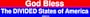 God Bless The DIVIDED States of America MINIATURE Sticker