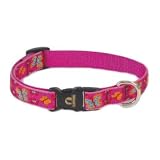 Lupine Grr-ly Dog 3/4' Adjustable Dog Collar (15'-25' )