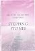 Stepping Stones: v. 1: Secrets from the Universe: v. 1