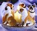 Bulldog Bulldogs Stone Circle Candle Holder Great New Gift