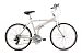 08 dahon espresso 20"
