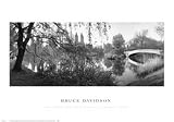 The Lake and Bow Bridge, Central Park, 1992 Places Art Poster Print by Bruce Davidson, 27x19