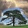 Cedars