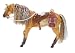 Caligirl Barbie Horse Pacifica