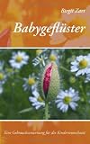 Babygeflüster: Eine Gebrauchsanweisung für die Kinderwunschzeit