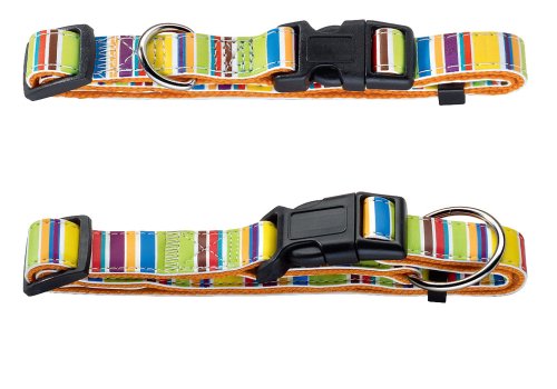 Hundehalsband Fancy Stripes, XS: 23-33 cm, 1 cm breit