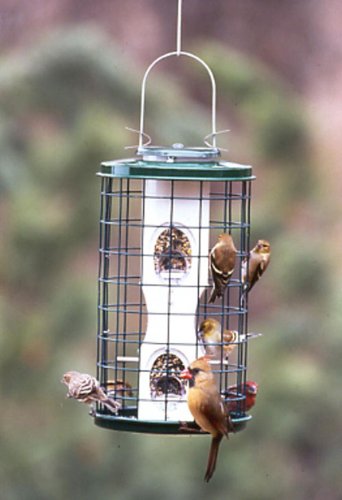 Vari-Crafts Mixed Seed, 1 Qt. Feeder