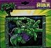 Children's Bi-Fold Wallet - Hulk