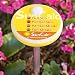 Outdoor Living : Sunlight Calculator