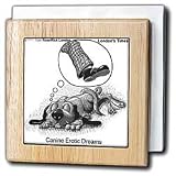 Review 3dRose LLC  / Erotic Dog Dreams - 6 Inch Tile Napkin Holder