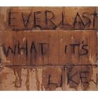 Click here to buy What It's Like by  Everlast .