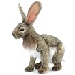 Jack Rabbit Plush Toy By Hansa