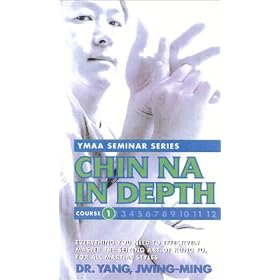 Chin Na In Depth 1