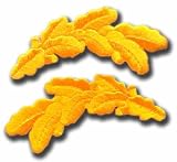 Set of (2) Scrambled Eggs Cap Braid Matching Pair Embroidered Iron On Patch
