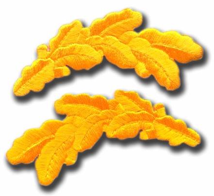 Set of (2) Scrambled Eggs Cap Braid Matching Pair Embroidered Iron On Patch