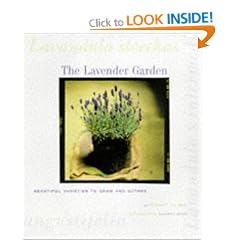 The Lavender Garden