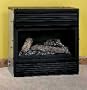 Desa Heating Llc 26000Btu Lp Firebox Cgcftp Gas Heater & Accessories
