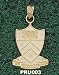 Princeton Univ Shield Charm/Pendant -14K/10K, Stainless Steel or Gold Plated