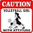 CAUTION: VOLLEYBALL GIRL game joke new sign