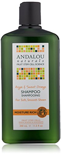 Andalou Naturals Moisture Rich Shampoo, Argan and Sweet Orange, 11.5 Ounce