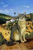 \"Abyssinian