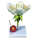 3B Scientific T21019 Cherry Blossom with Fruit (Prunus Avium), 12.8" Height