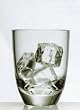 Forever Elegant 16oz Polycarbonate Tumbler