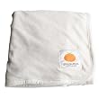 Satsuma Designs Velour Baby Blanket - Natural