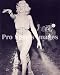Marilyn Monroe 8x10 Photo