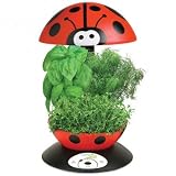 Aerogarden 3 Ladybug w/ Gourmet Herb Seed Kit by AeroGrow