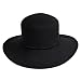 41C0qd9aOWL. AA75  BLACK FLOPPY WIDE BRIM HAT WITH TWISTED TASSEL