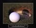 Kitchen & Housewares : Frustration - Golf Ball by Anonymous. Art Print Poster 28 inches width by 22 inches height. Highest Quality Art Poster Print
