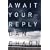 Await Your Reply: A Novel