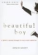 Beautiful Boy: A Father's Journey Through His Son's Crystal Meth Addiction