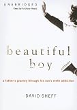 Beautiful Boy: A Father's Journey Through His Son's Meth Addiction