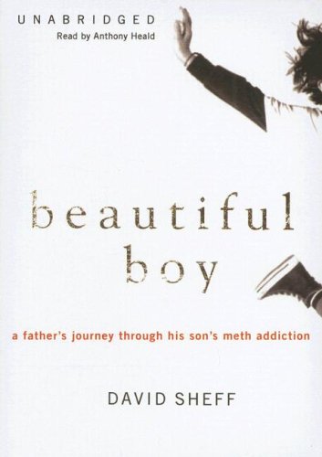 Beautiful Boy: A Father's Journey Through His Son's Meth Addiction