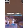 Galapagos Islands (Lonely Planet Watching Wildlife)