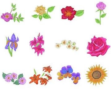 Embroidery Machine Designs CD JUMBO FLOWERS I