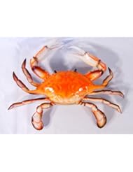 Home: Hand Painted Crab Beach Tiki Bar Wall Mount Decor 6" Red - Charlotte International