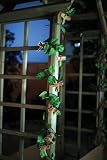 Premier 20 Foliage Light Garland W/Dragonflies