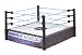 WWE Smackdown Superstar Ring_s-1