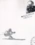 Race Skills for Alpine Skiing