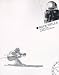 Book Race Skills for Alpine Skiing