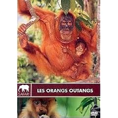 Les Orangs-Outans