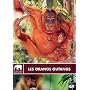 Les Orangs-Outans