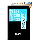 The Lung: Molecular Basis of Disease by Jerome S. Brody