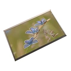 Samsung LTN101NT06-W03 LCD DISPLAY 10,1",Aufl�sung 1024*600, Matt